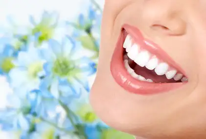 zzh_aethetische_zahnheilkunde Zahnmedizinisches Zentrum Hochheim Dentallabor